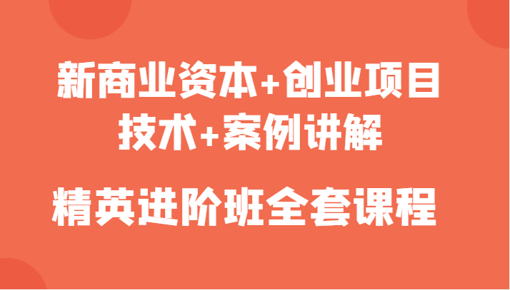 图片[1]-新商业资本+创业项目，技术+案例讲解，精英进阶班全套课程