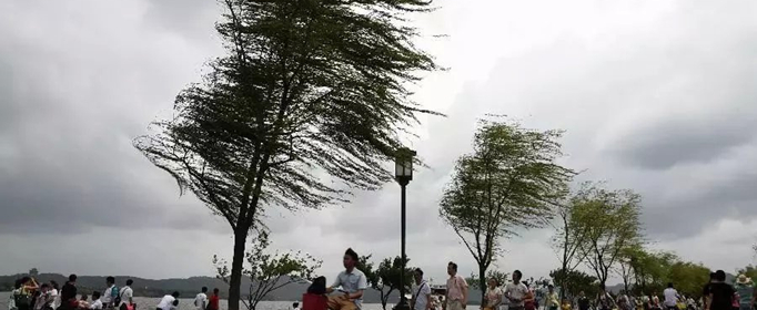 12级风力有多大