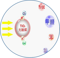 甲醛怎么去除最有效，甲醛去除的正确方法