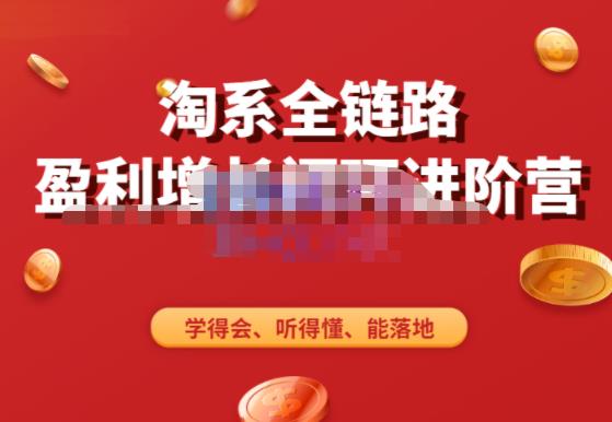 图片[1]-淘系全链路盈利增长闭环进阶营，融合全店动销，学得会、听得懂、能落地！